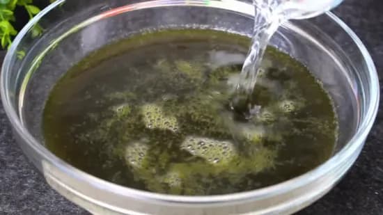 Panipuri Pani Recipe - Tikha Pani