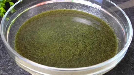 Pani Puri Water | Puchka Water | Golgappa water