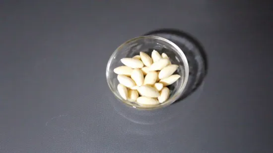 केसर बादाम दूध | Saffron Almond Milk | Kesar Badam Milk